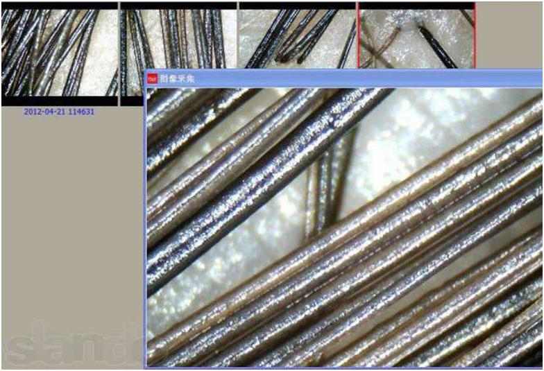 Волосы под микроскопом