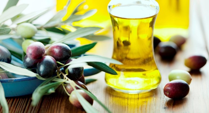 Ветка оливок