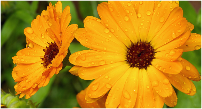 Народные средства для восстановления волос обладают парой преимуществ перед покупными ухаживающими продуктами