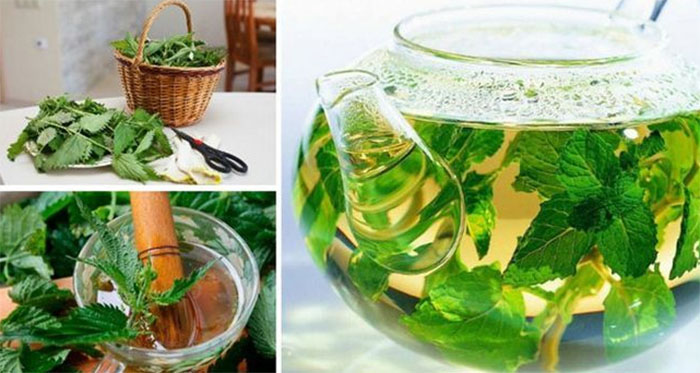 Крапива и лопух