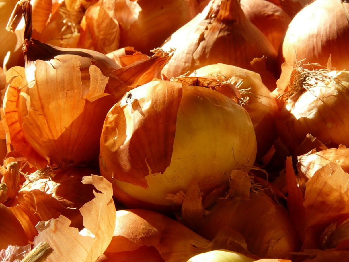 Луковая шелуха