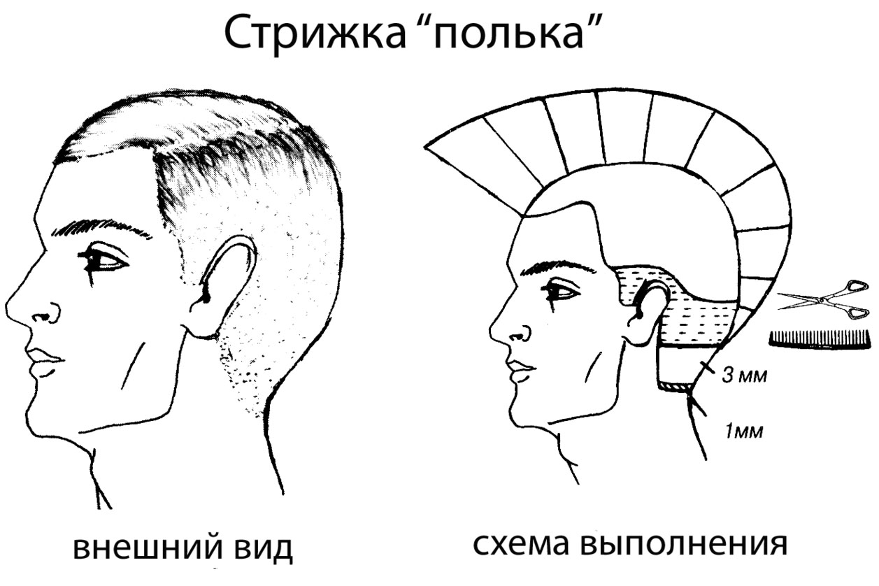 Полька знакомство схема