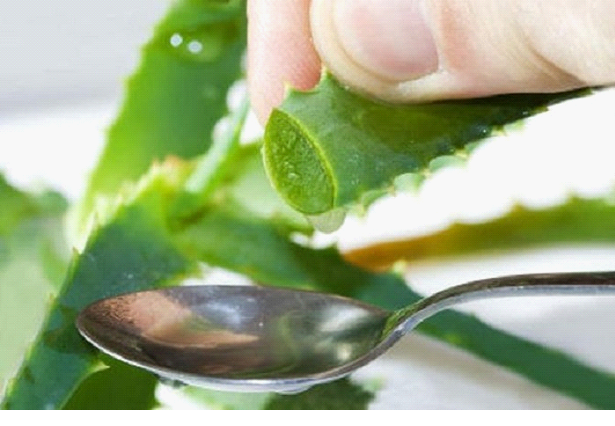 Применение Алоэ вера для волос в домашних условиях: маска с соком ...