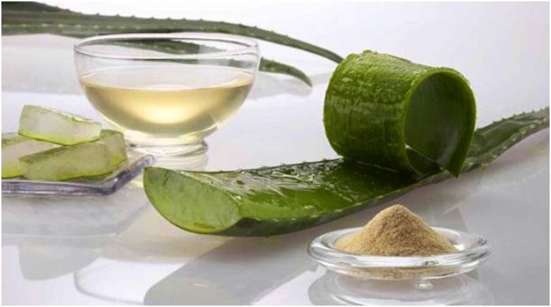 Алоэ