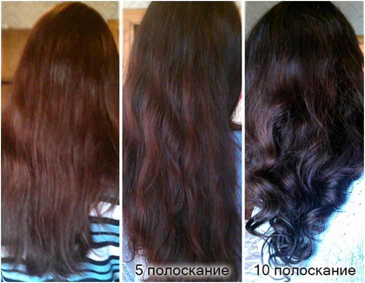 Как покрасить волосы еловой корой