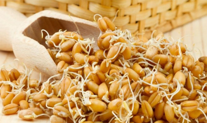 Проросшая пшеница