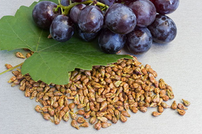 При втором методе обработки косточек, масла получают больше, поэтому он используется чаще