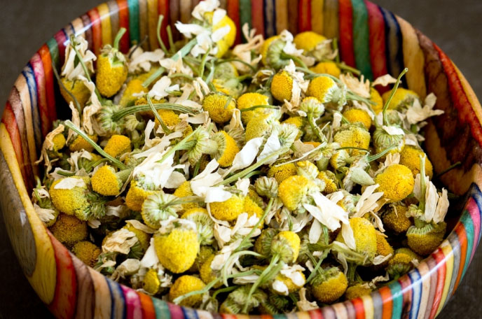 Ромашка в коробочке