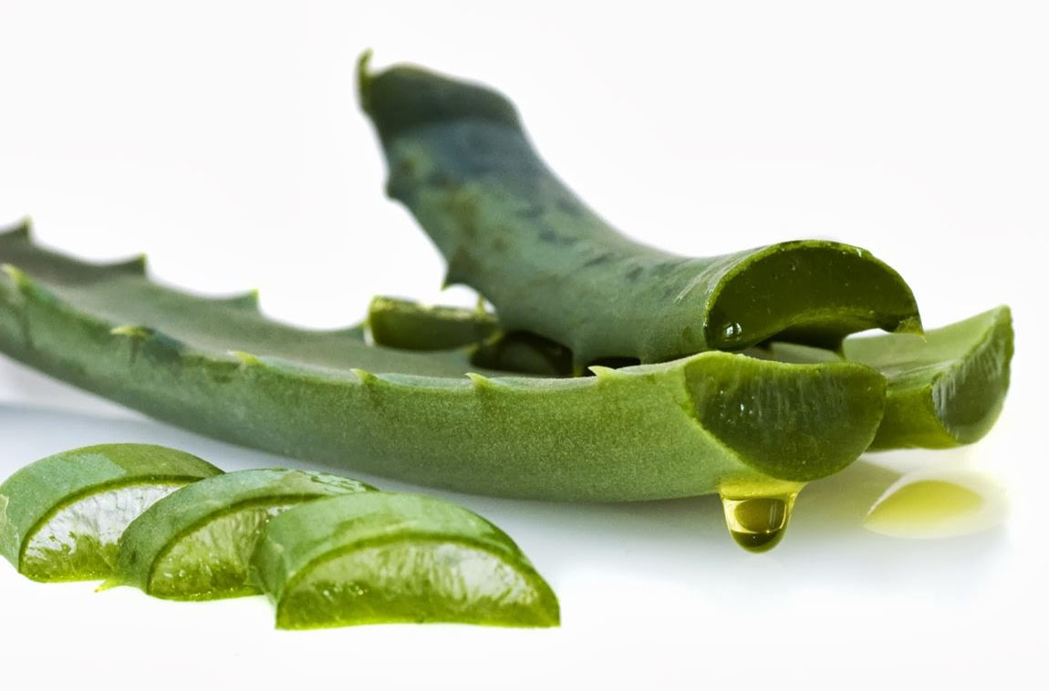 Сок листьев алоэ